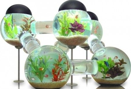 необычный аквариум дома
