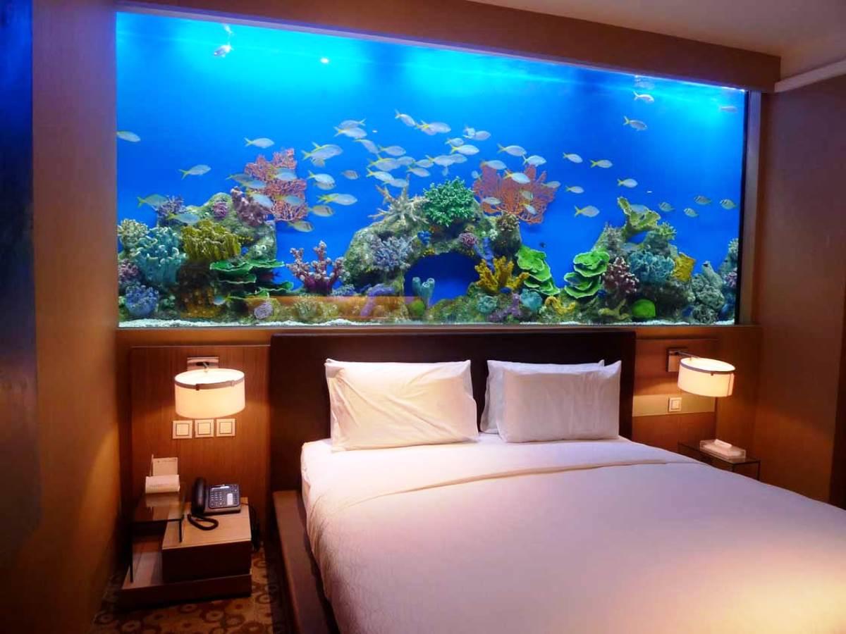 Сделать спальню необычной и в то же время комфортной можно с помощью аквариума, расположенного над кроватью 
