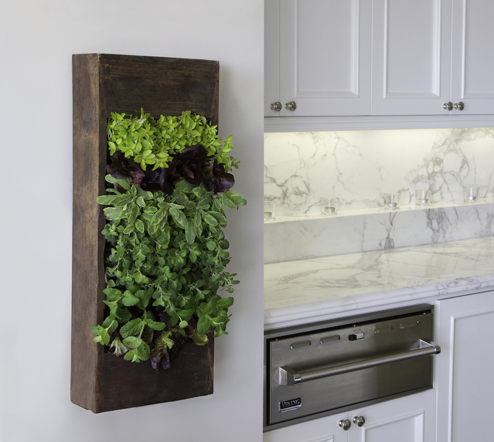Вертикальная клумба с зелёной растительностью на стене кухни 