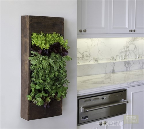 Вертикальное озеленение на кухне_500x450