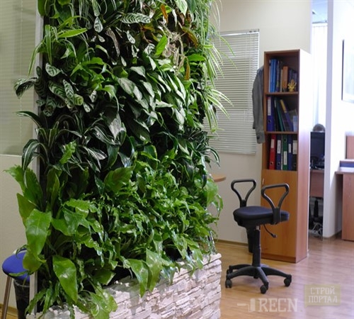 Вертикальное озеленение офиса_500x450