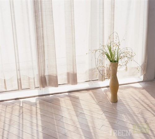 На полу ваза с сухими цветами_500x450