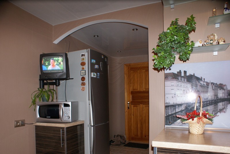 кухня в коридоре в однокомнатной квартире фото