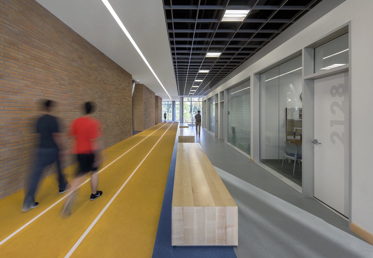 Дизайн спортивного комплекса – Зал для лёгкой атлетики