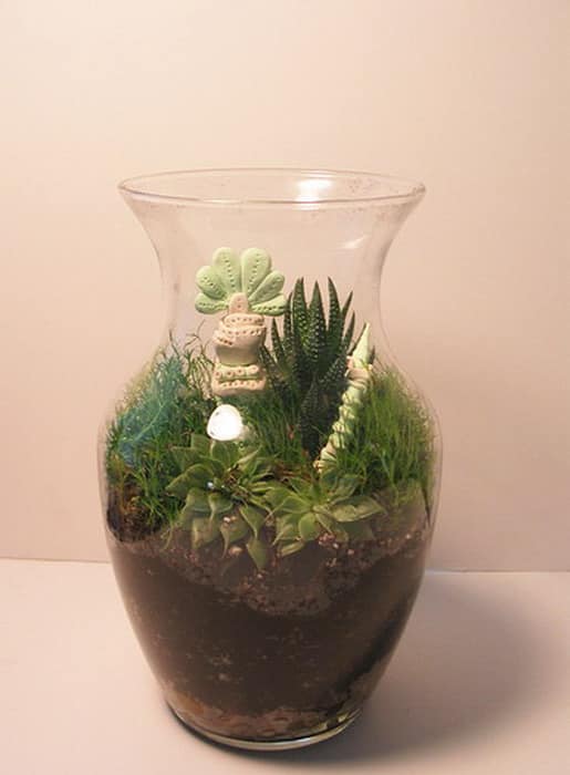 Миниатюрный сад в вазе