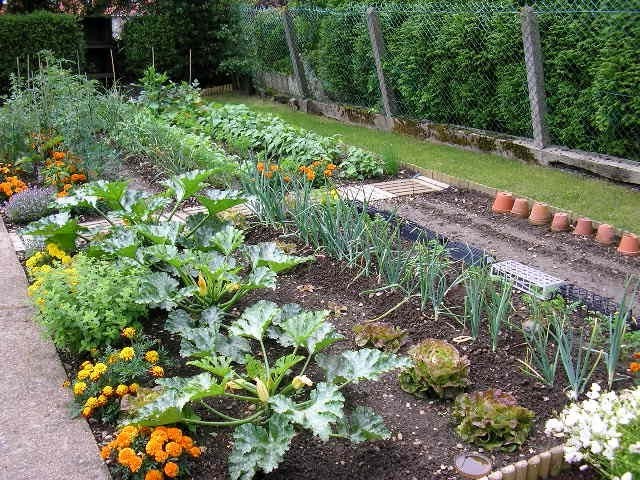 Современный огород и его дизайн: красивые грядки на вашей даче (35 фото)
