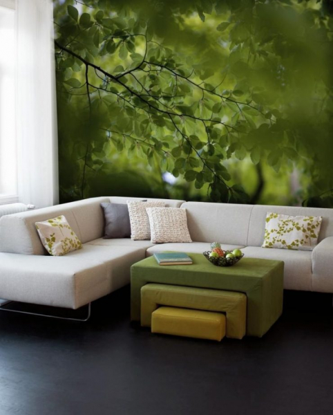 Оливковая гостиная - фото идеального дизайна гостиной оливкового цвета