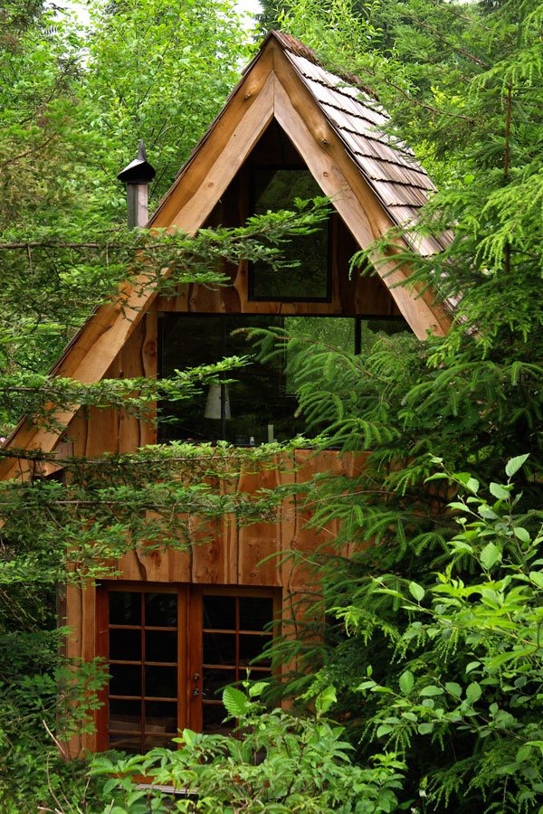 Фото лесного домика
