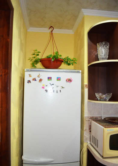 Холодильник на месте коридора - отличное решение, если решили использовать пространство максимально рационально