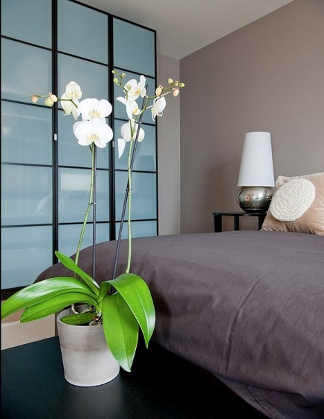 Орхидеи в интерьере спальни