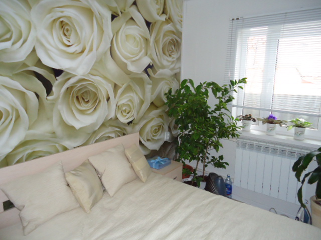 фотообои розы в спальню фото