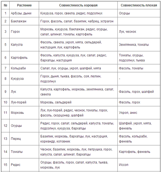 совместимость огородных культур
