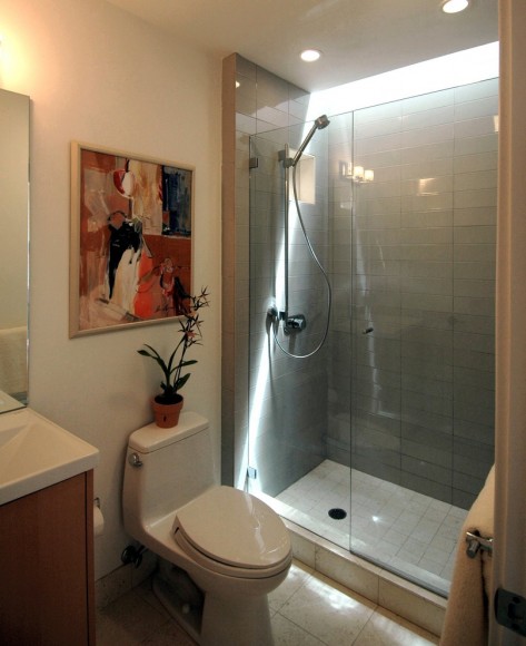 Awesome-Design-for-Small-Bathroom-Ideas-Exposing-Glossy-Toilet-under-Hand-Painting-Closed-by-Screen-Glass-for-Shower-Bath-Deign