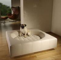 pets-furniture-dogs4