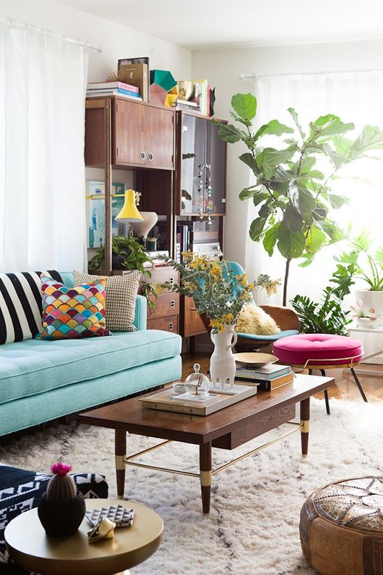 boho chic living space... look, there's my fiddle leaf ficus all grown up! I love my flf! who's a pretty plant? you are!