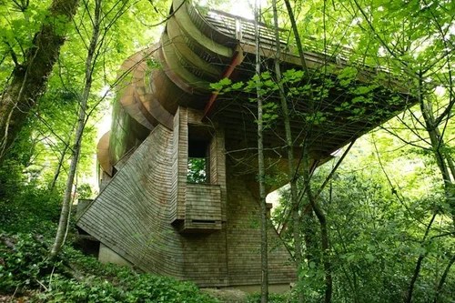 необычный дом в лесу дизайн архитектура