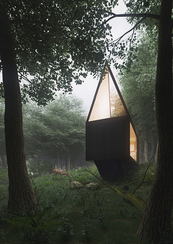 Маленький домик Tomek Michalski Cabin в лесу