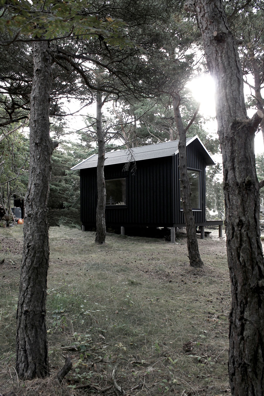 Мини-дом Ermitage Cabin в Швеции