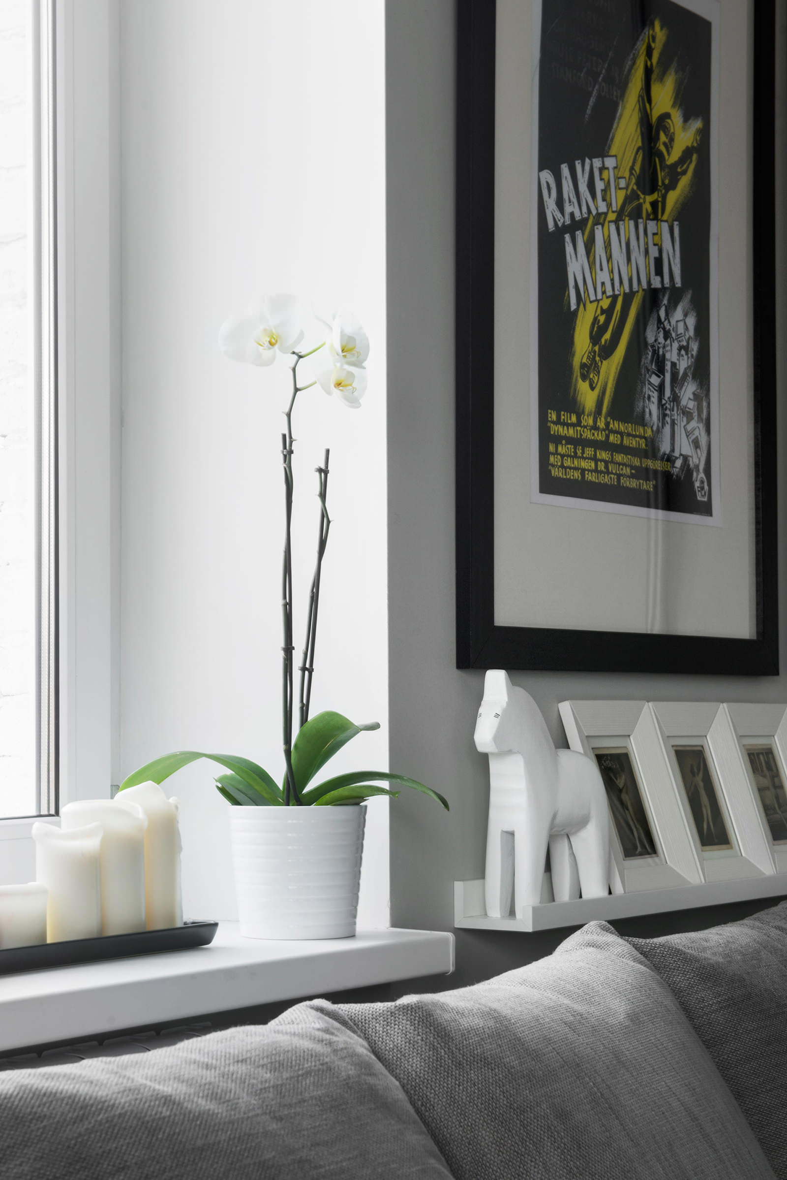Орхидея в гостиной квартиры-студии