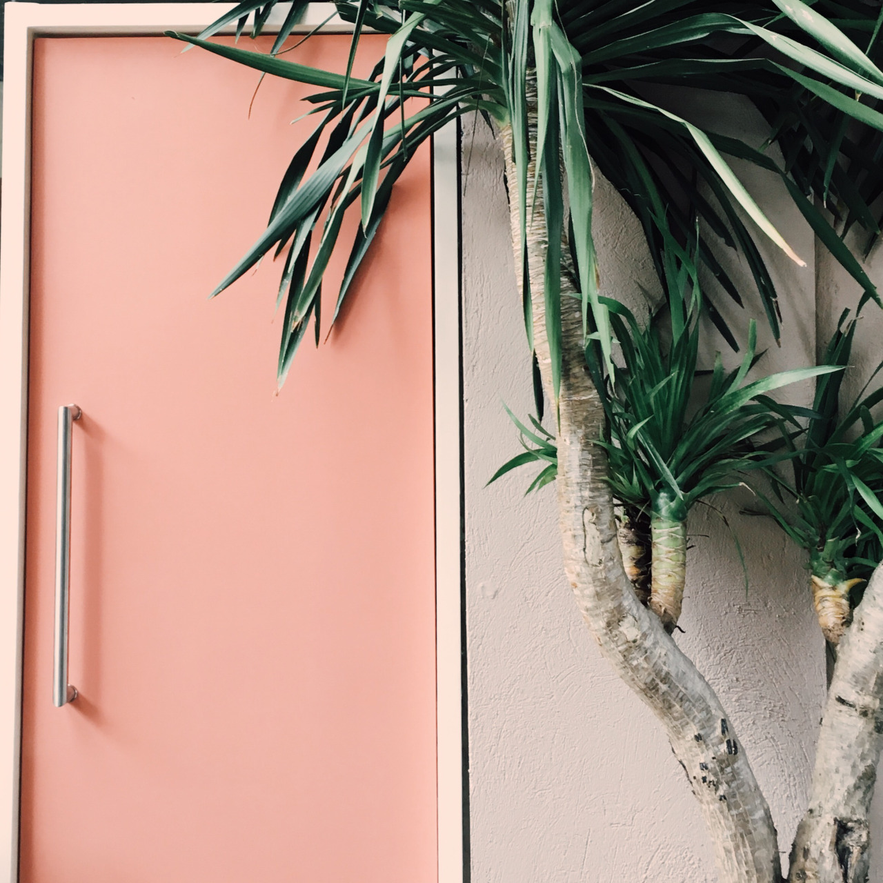 Дверь персикового цвета