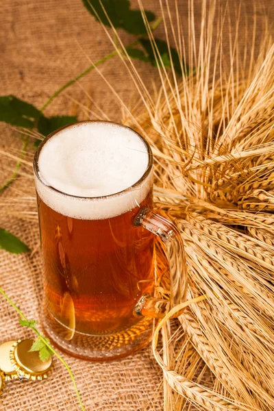 Стакан светлое пиво и колосья ячменя — стоковое фото