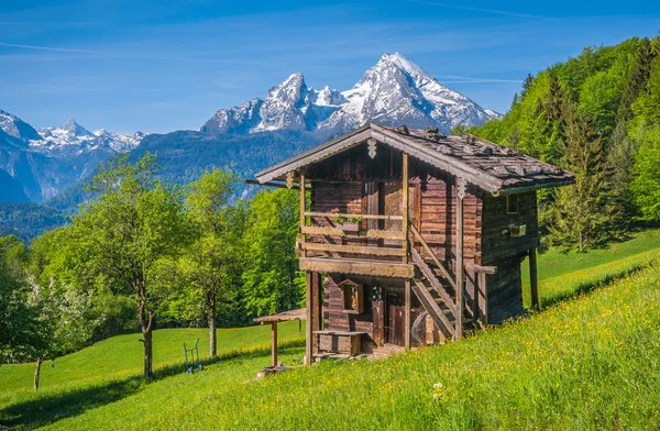 Идиллический весенний пейзаж в Альпах с традиционными Маунтин Лодж — стоковое фото