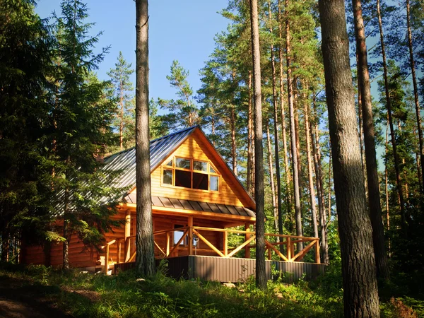 Бревенчатый дом в лесу — стоковое фото